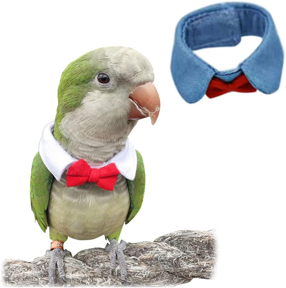 Cute Pet Parrot Collar Adjustable Bow Tie Funny Small Animals Clothes for Party Cosplay Photo Prop Blue M